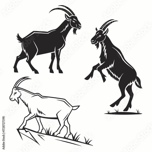 goat on white background