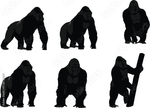 Gorilla silhouettes in various poses, standing, sitting, walking, climbing, strong wild ape illustrations, jungle primate vector, animal shadow graphic design