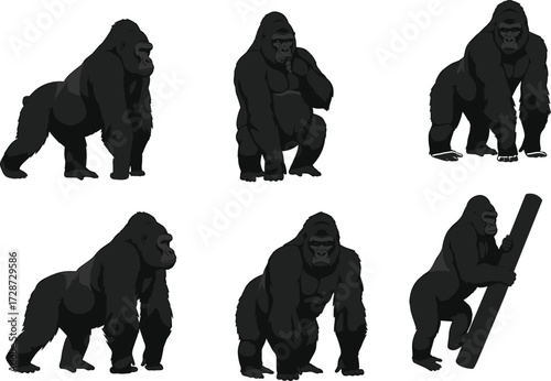 Gorilla silhouettes walking, standing, sitting, climbing with strong muscular body, wild ape illustrations, jungle primate vector, animal shadow graphic design
