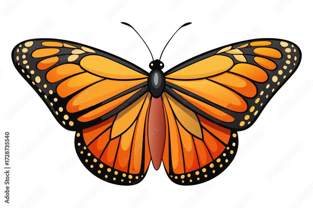 Fototapeta premium butterfly on white background