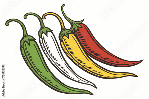 vector illustration of a hot chili peppers