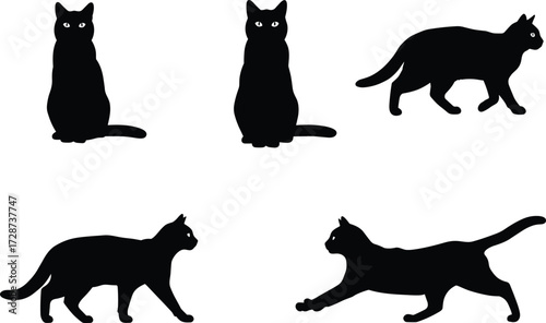 Silhouette of cats in different poses, sitting, walking, stretching, isolated black feline illustration, domestic pet vector design, animal shape art