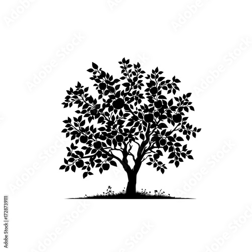 Apple Tree Vector – Ripe Fruit Tree Illustration for Orchard and Farm Design