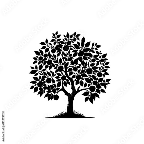 Apple Tree Vector Illustration – Orchard Tree with Ripe Apples for Farm and Garden Design