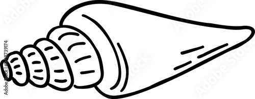 A black and white line drawing of a spiral seashell