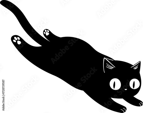 A black cat in a stretchedout pose