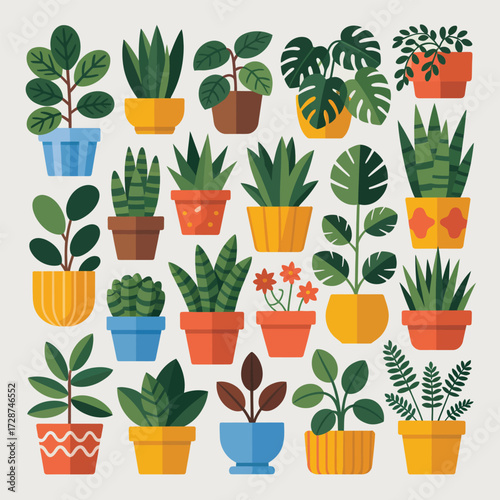 Assortment of houseplants in vibrant, patterned pots on a light background Keywords: houseplants, potted plants, indoor plants, green foliage