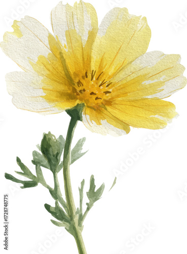 Watercolor wildflower, simple design, white background, single flower, clip art