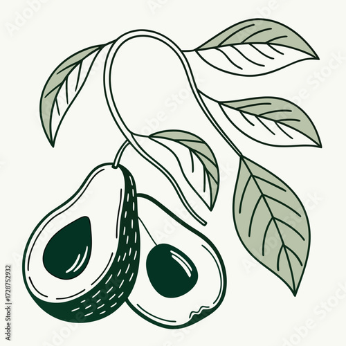 Monochromatic Botanical Stylized Avocado on Vine Simple Elegance Line Art of Halved Avocados and FoliageMinimalist Harvest Hand Drawn Green Avocado Branch