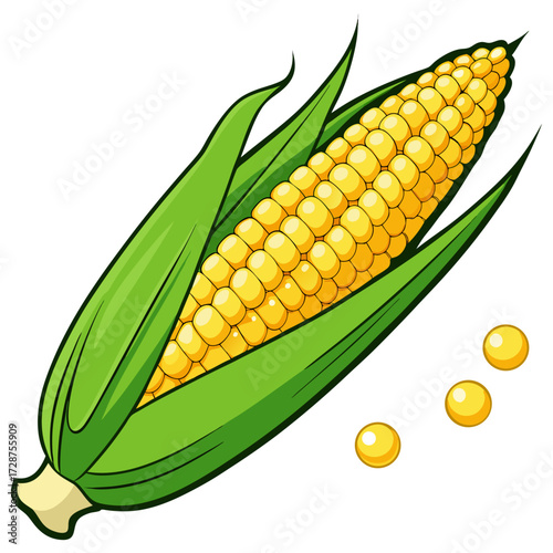 visual, stock, sparkle, smooth, rich, render, pop, lighting, isolate, glossy, detailed, colourful, clipping, clip art. Fresh corn on the cob with yellow kernels green sweet organic vegetable food.