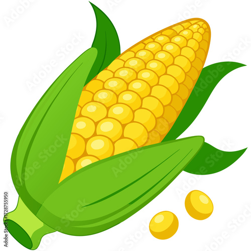 visual, stock, sparkle, smooth, rich, render, pop, lighting, isolate, glossy, detailed, colourful, clipping, clip art. Fresh corn on the cob with yellow kernels green sweet organic vegetable food.