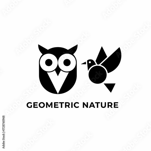 Geometric nature vector owl and bird illustration for scalable designs vector