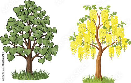 tree, foliage, blossom, seasonal, deciduous, flowering, golden, shower, ornamental, nature, landscape, vector, illustration, green, yellow, trunk, contrast, flora, outdoor, comparison