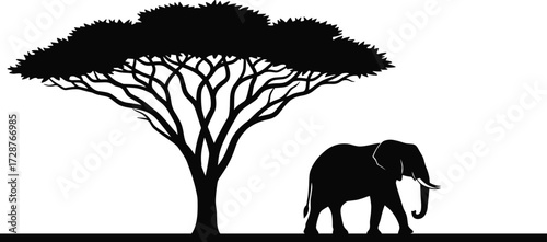 Silhouette vector of elephant walking near acacia tree, representing African wildlife, nature landscape, safari scene, and environmental storytelling design