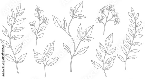 seamless pattern of wheat ears