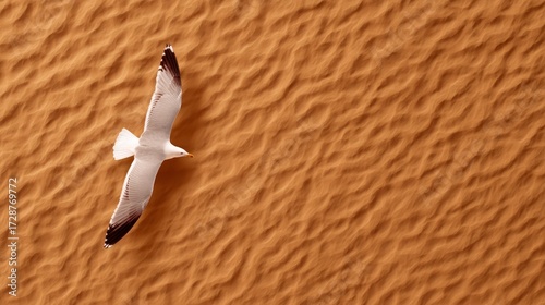Majestic Bird Soaring Over Expansive Desert Landscape from Elevated Perspective