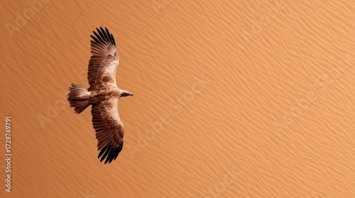 Majestic View of a Bird Soaring Over a Vast Desert Landscape Under Clear Skies