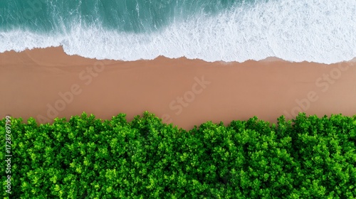 Aerial View of a Serene Beach with Lush Green Plants and Gentle Waves Washing Ashore