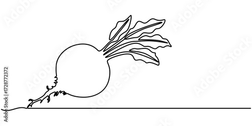 Continuous one line drawing of beet root. One line drawing illustration of growing radish. Vegetable growing concept continuous line art. Editable outline. 
