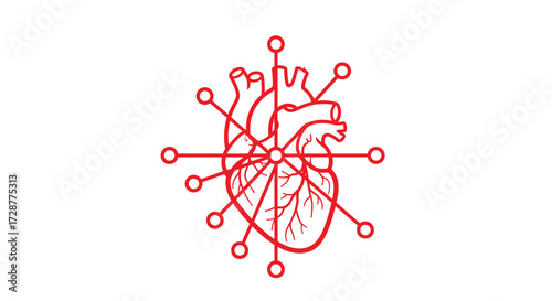 An anatomical heart illustration surrounded by radiating lines and circles symbolizing connection or network.