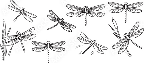 Dragonfly icon, Insect vector design, Flying dragonfly silhouette, Dragonfly outline art, Garden dragonfly clipart, Nature insect graphic, Bug illustration symbol, River dragonfly drawing, Dragonfly w