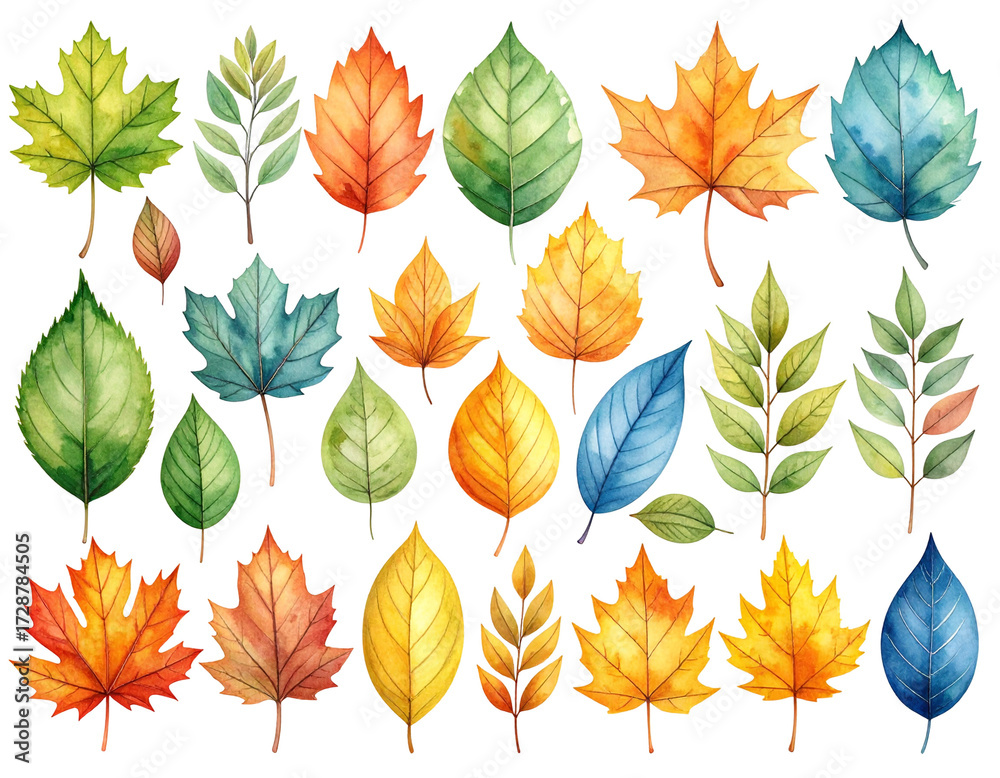 Obraz premium Vibrant autumn leaves