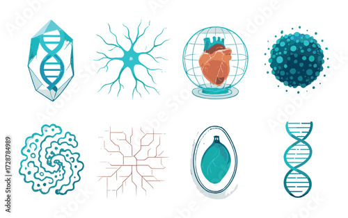 Futuristic medical holograms featuring dna, neurons, and vital organs