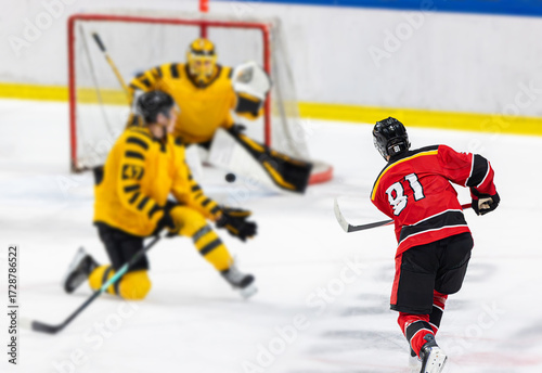 Canvas Print Ice hockey player shoots the puck against the opponents net