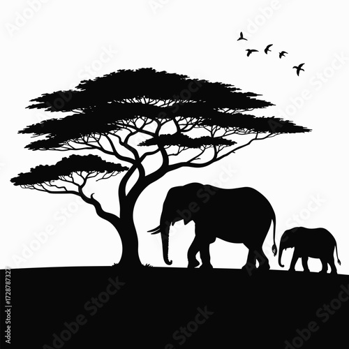 Canvas Print Silhouette of elephants and acacia tree on white background baby elephant mother