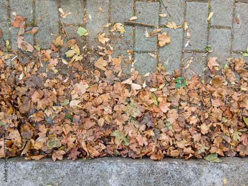 Autumn leaves covering part of urban sidewalk pavement