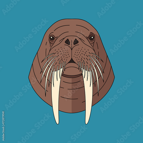 Graphic illustration of a walrus head with long tusks, set against a blue background.