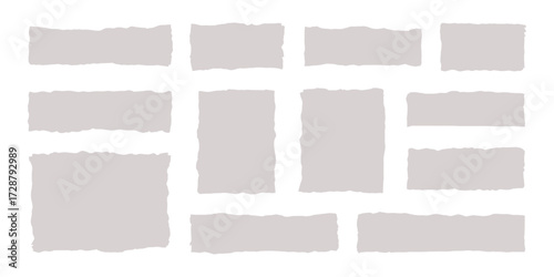 Collection of torn paper scraps in various sizes and shapes isolated on a transparent background