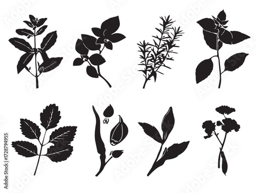 Herbs and Spices silhouette icon vector illustration solid black natural seasoning elements