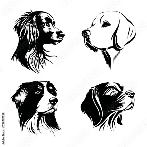 Four dog head portraits in black and white