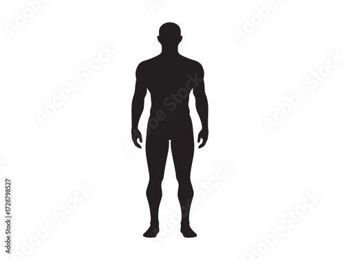 Human body silhouette icon vector illustration solid black anatomical structure outline