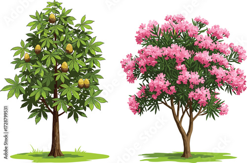 tree, foliage, blossom, seasonal, fruit, flowering, chestnut, nature, landscape, vector, illustration, green, pink, trunk, contrast, growth, concept, design, flora, outdoor, comparison