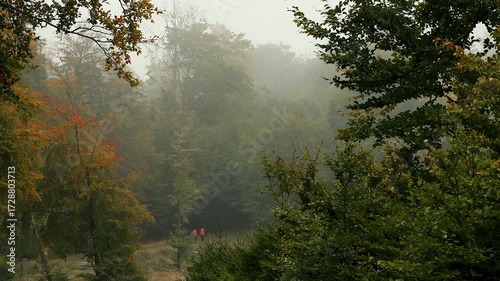 hikers in an autumn mist landscape 4k 25fps video