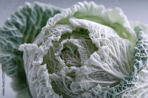 Wallpaper Mural Up close with white cabbage, a cultivated variety, showcasing the intricate texture and freshness of the vegetable. Torontodigital.ca