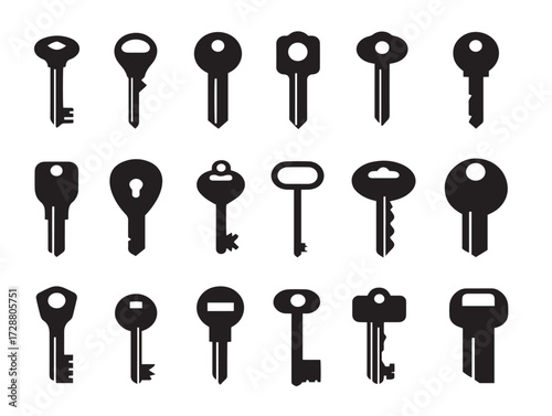 Keys and Locks silhouette icon vector illustration solid black safety and access control