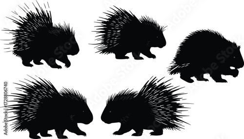 PrintSilhouette porcupine illustration, wild animal vector, spiky quills design, defensive wildlife art, black silhouette mammals, nature protection, exotic rodent drawing