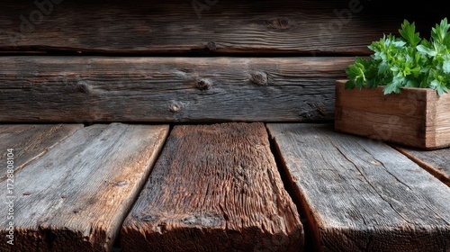 Dark Rustic Wood Texture with Kale in Brown Wooden Box Backdrop