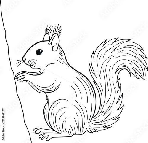 PrintSquirrel climbing tree, wildlife illustration, black and white drawing, forest animal sketch, bushy tail detail, nature artwork, educational biology image