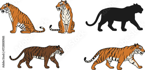 PrintTiger illustration, wild animal artwork, big cat drawing, tiger silhouette, cartoon tiger, realistic tiger, walking tiger, sitting tiger, wildlife design