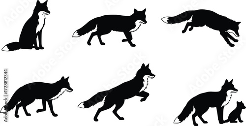 Fox silhouette collection, wild animal poses, sitting fox, walking fox, jumping fox, stalking fox, rearing fox, fox with cat, wildlife illustration, animal behavior study