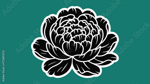 Elegant black peony bloom against teal backdrop creates a striking visual, perfect for sophisticated design projects and adding timeless beauty