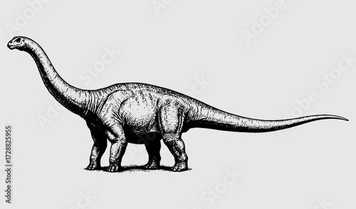 Apatosaurus.eps