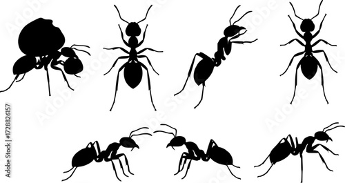 Silhouette collection of six ants in various poses on white background
