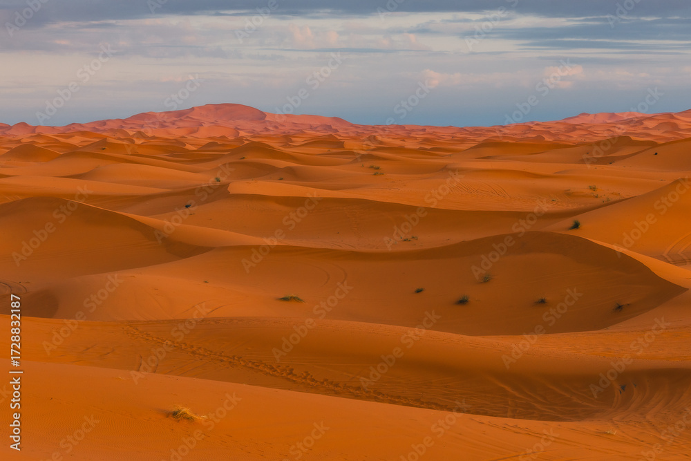 Naklejka premium Endless Sahara Desert dunes in Morocco – rolling sand hills and breathtaking desert landscape in North Africa
