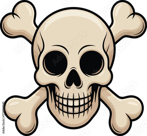 Detailed anatomical illustration of a human skeleton in a classic pose