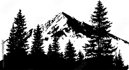"Peaceful Mountain Forest"